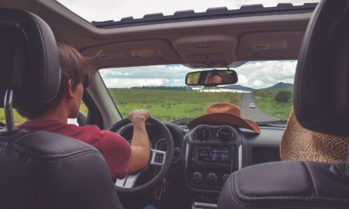 Texas Parent Taught Drivers Ed (#C3545)